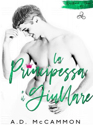 cover image of La principessa e il giullare